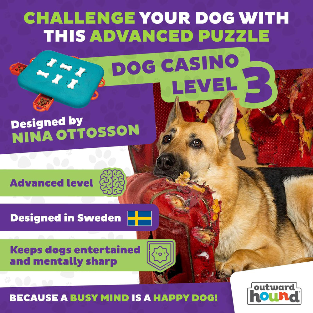 Outward Hound Dog Casino rotation os – activité olfactive et ludique.