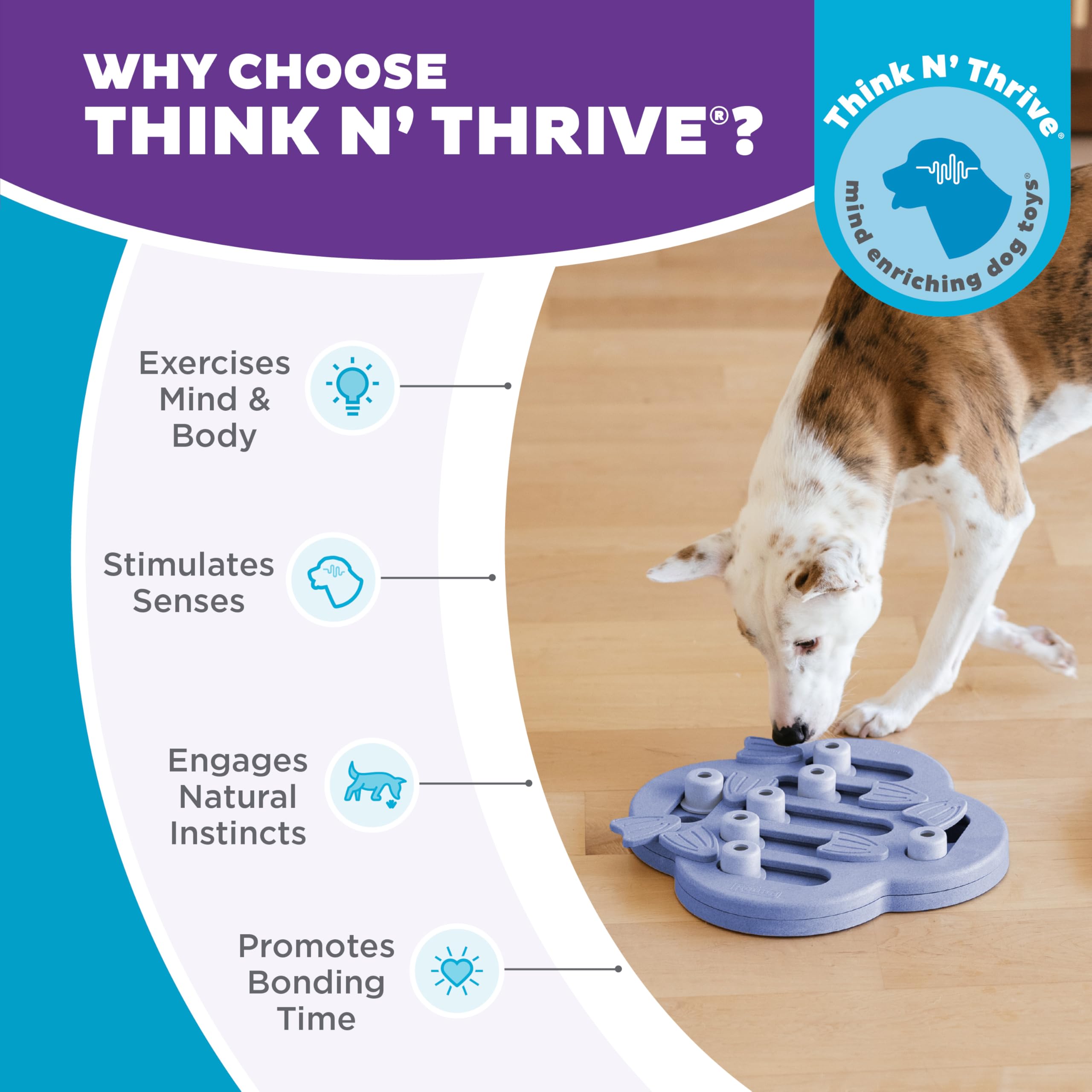 Outward Hound Hide N' Slide distributeur-lent favorise des repas plus calmes.