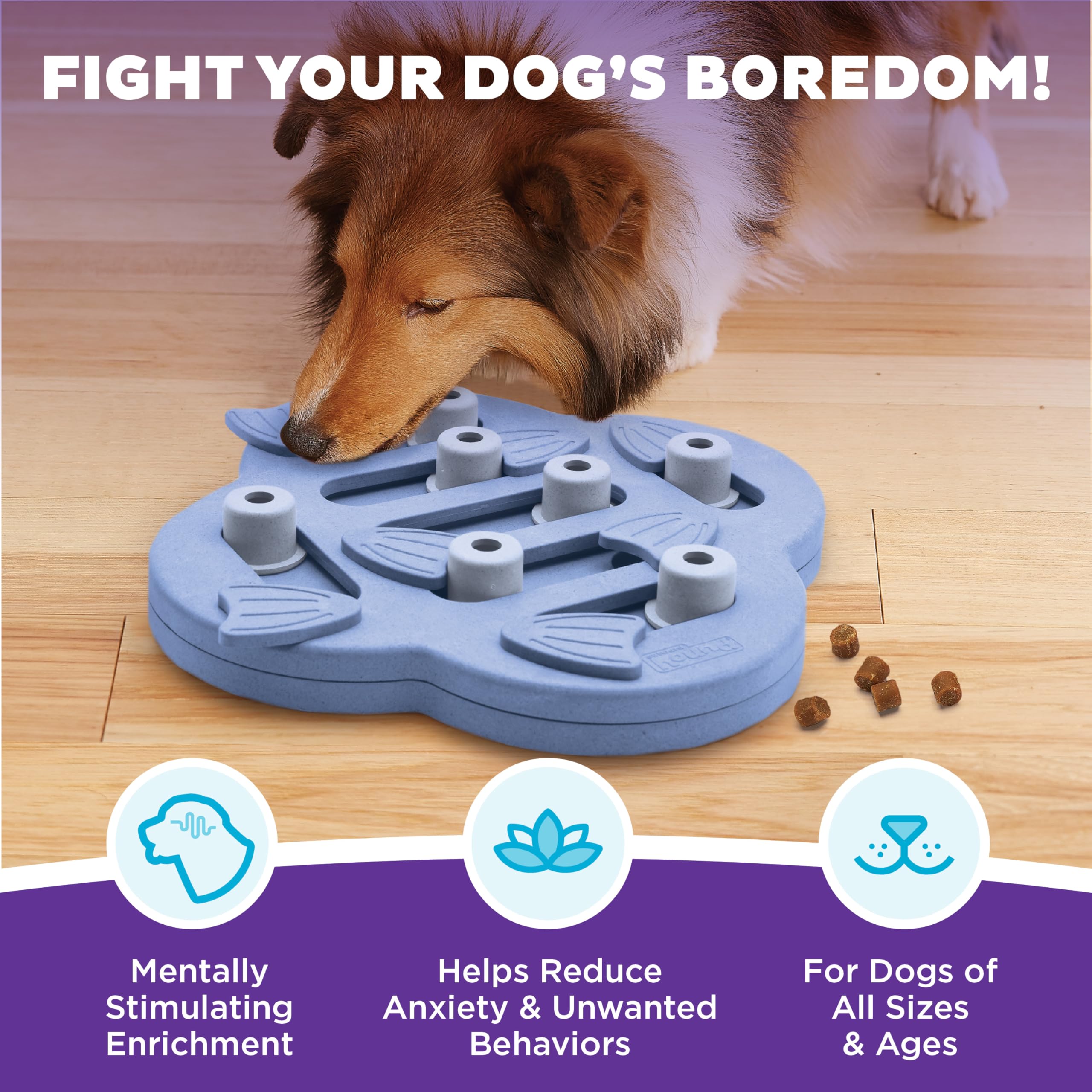 Outward Hound Hide N' Slide tiroirs-cache incitant curiosité et résolution de problèmes.