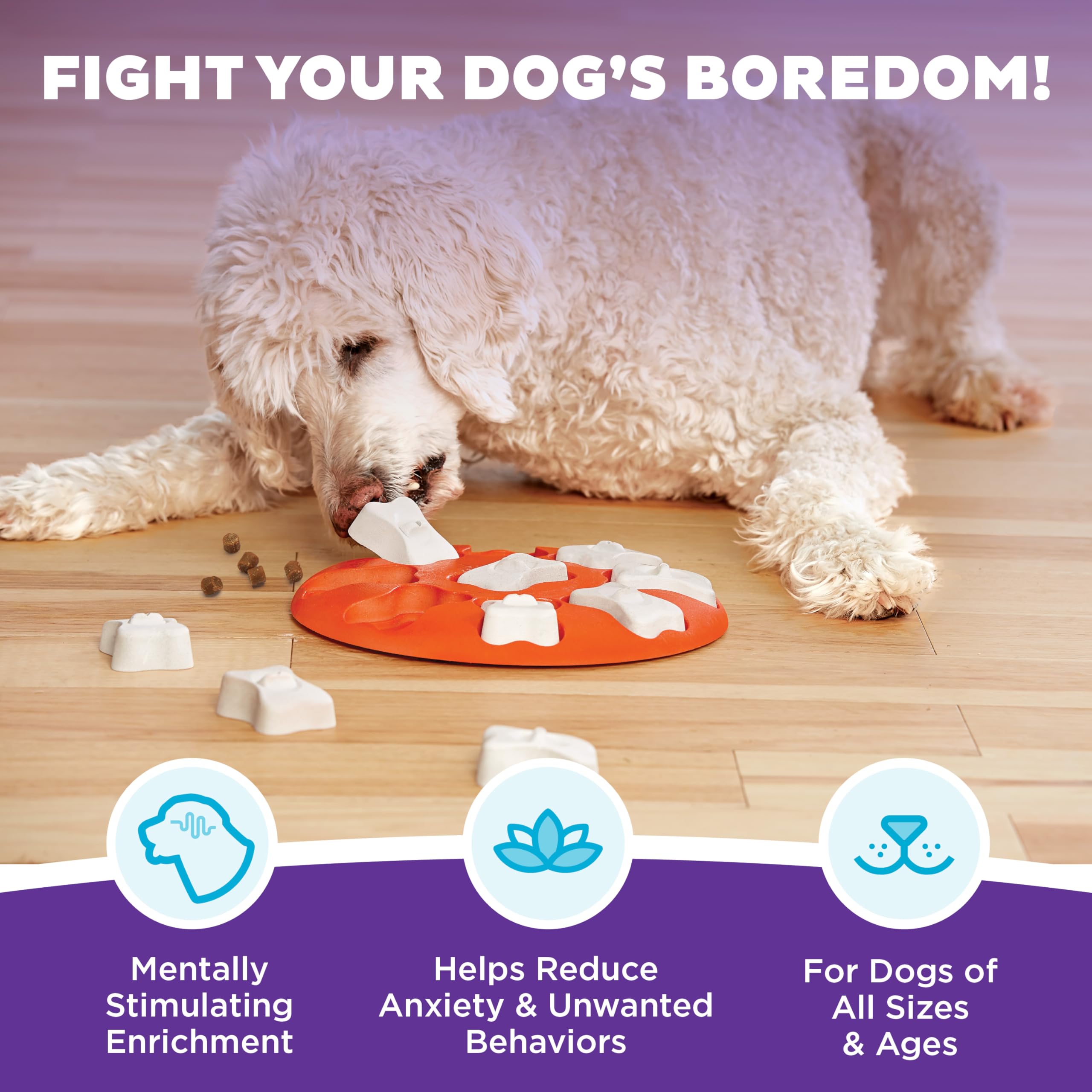 Outward Hound Dog Smart Puzzle, cache-bonbons offrant une récompense et stimulation.