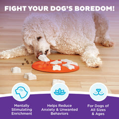 Outward Hound Dog Smart Puzzle, cache-bonbons offrant une récompense et stimulation.