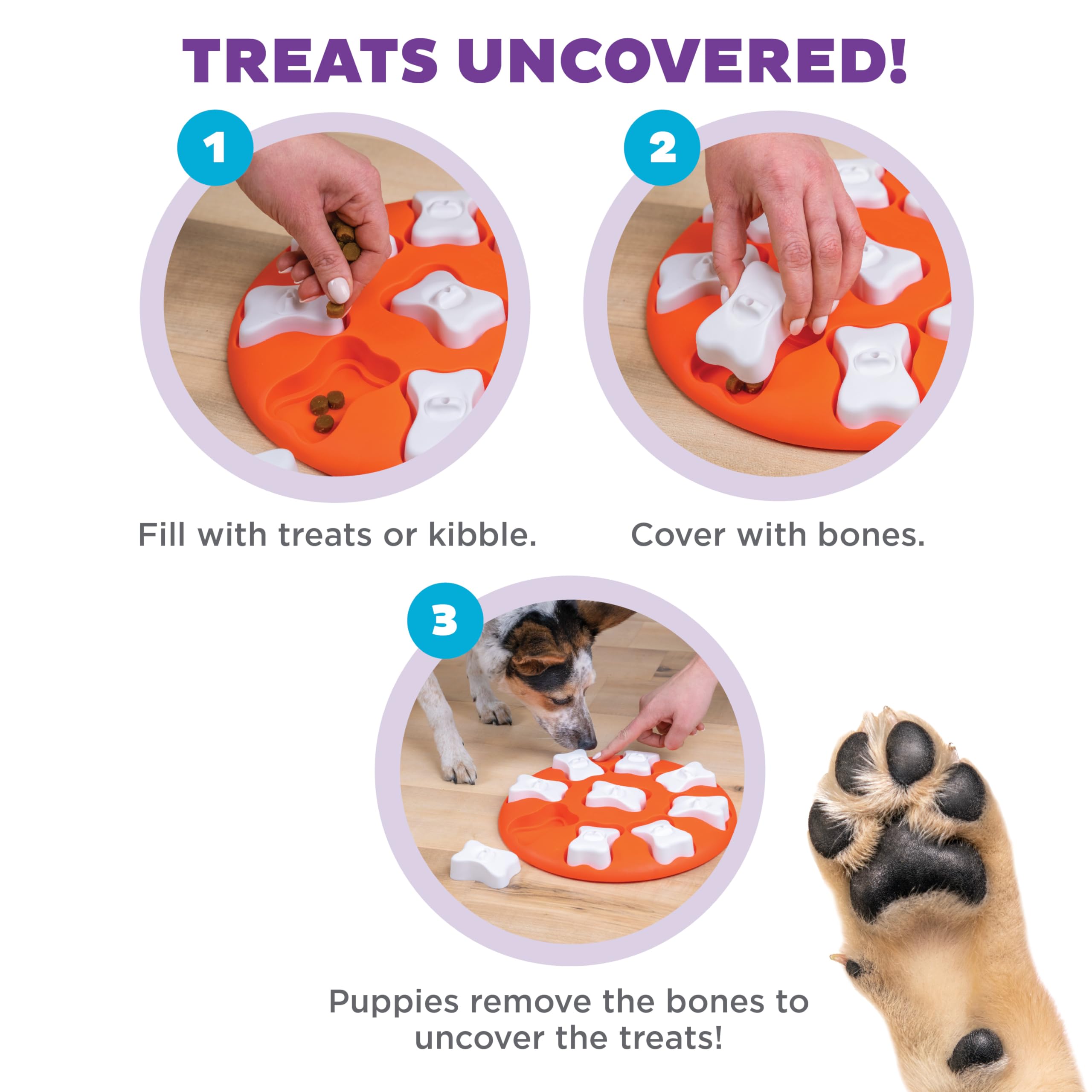 Outward Hound Dog Smart Puzzle avec compartiments, chien résout et trouve les friandises.