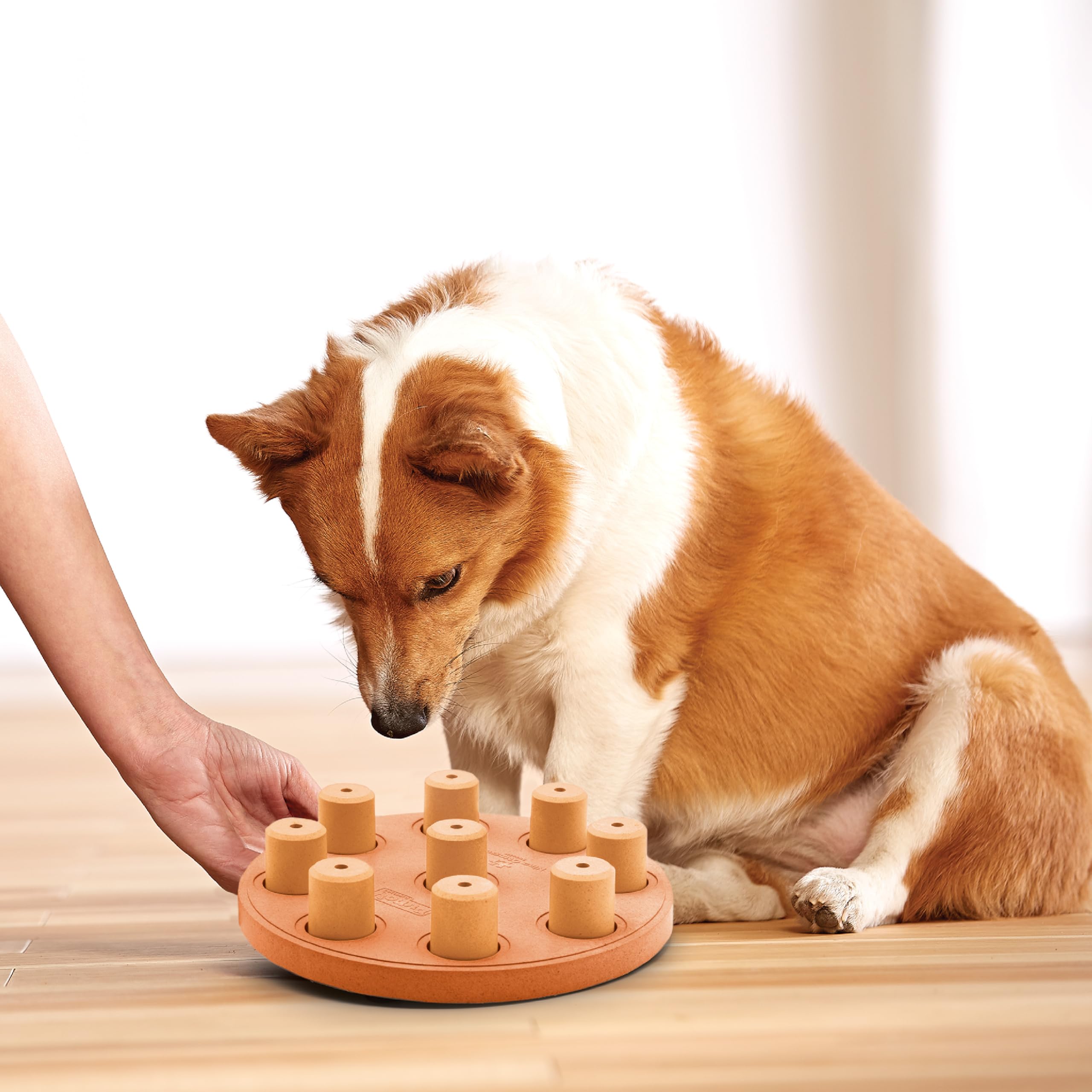 Outward Hound Dog Smart Puzzle: nettoyage facile, parfait pour l'entretien régulier