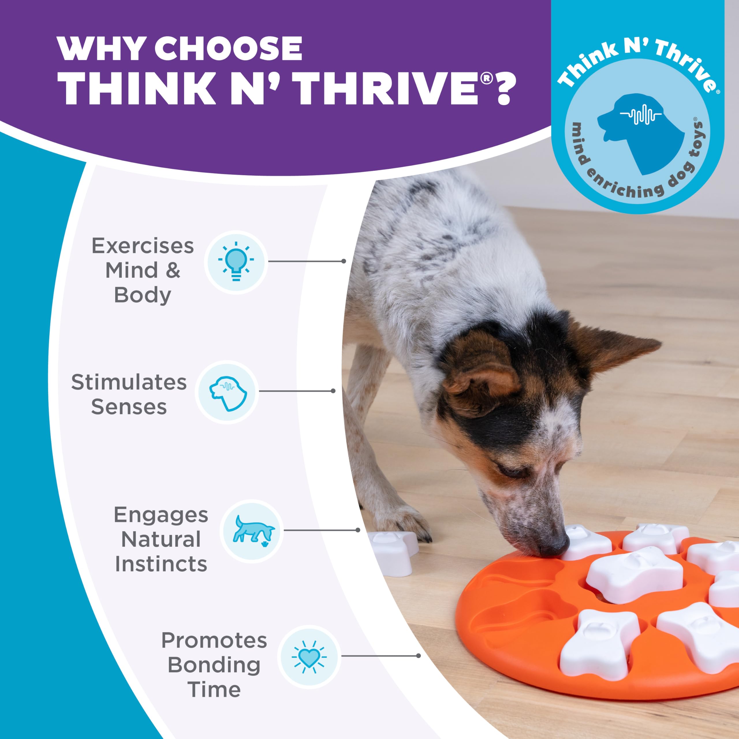 Outward Hound Puzzle Dog Smart, facile à nettoyer et sûr pour chien.