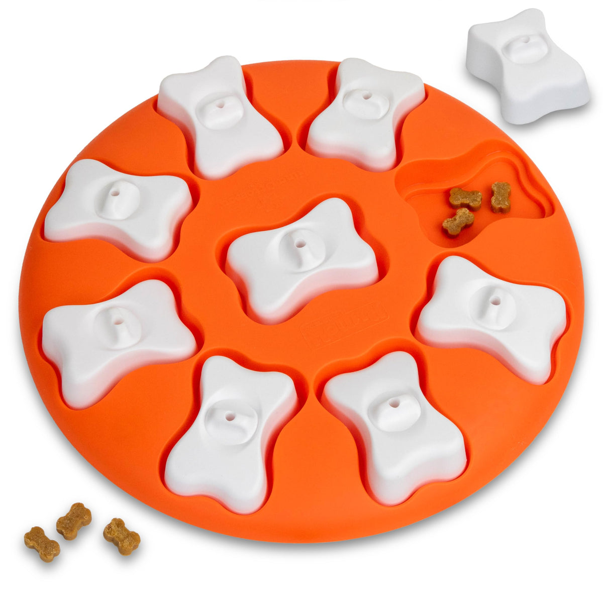 Outward Hound Dog Smart Puzzle niveau 1 en action, stimulation mentale pour chien.