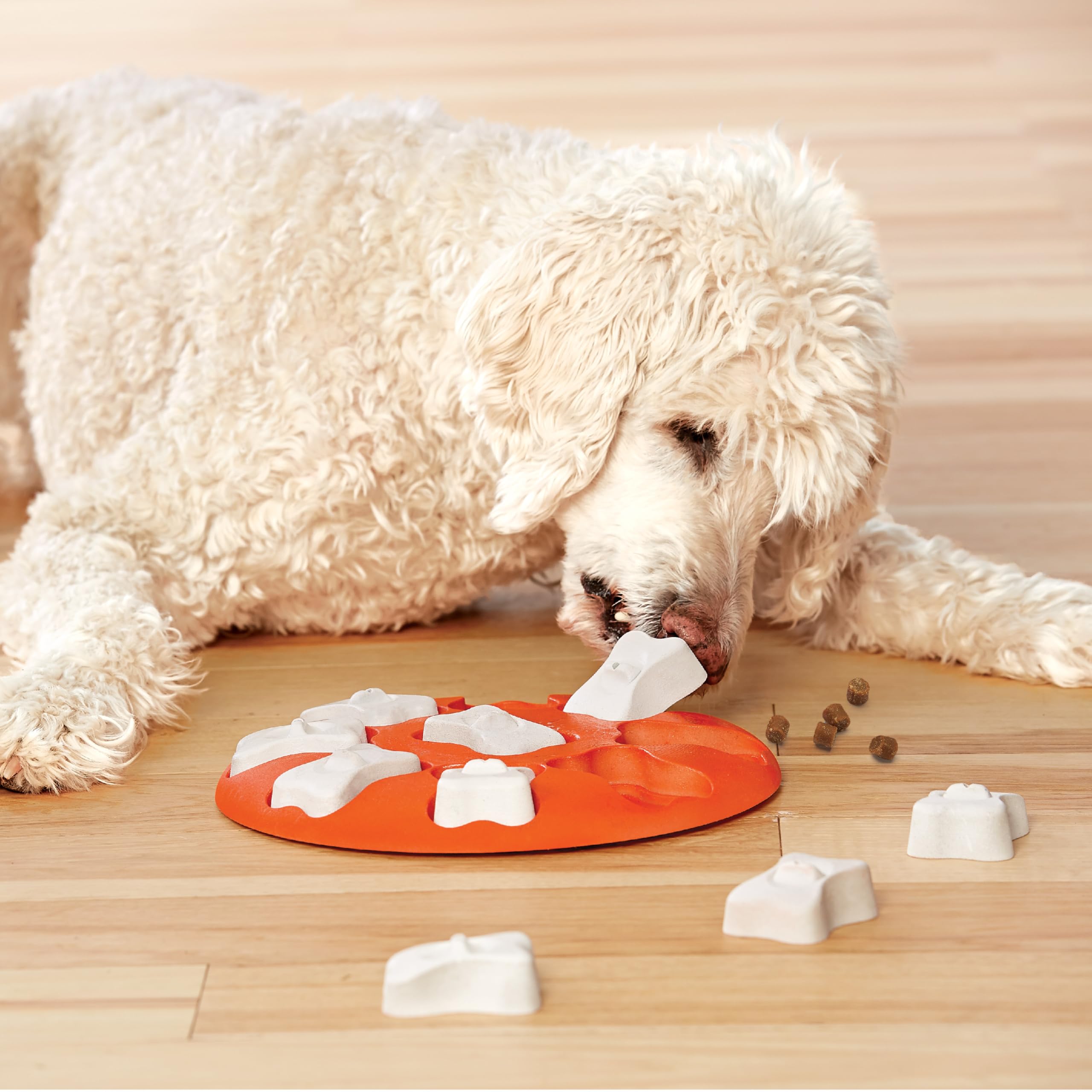 Outward Hound Dog Smart Puzzle, stimulation mentale durable lors de jeux quotidiens.
