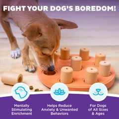 Outward Hound Dog Smart Puzzle: trous friandises cachees, favorise la résolution d'énigmes et la patience