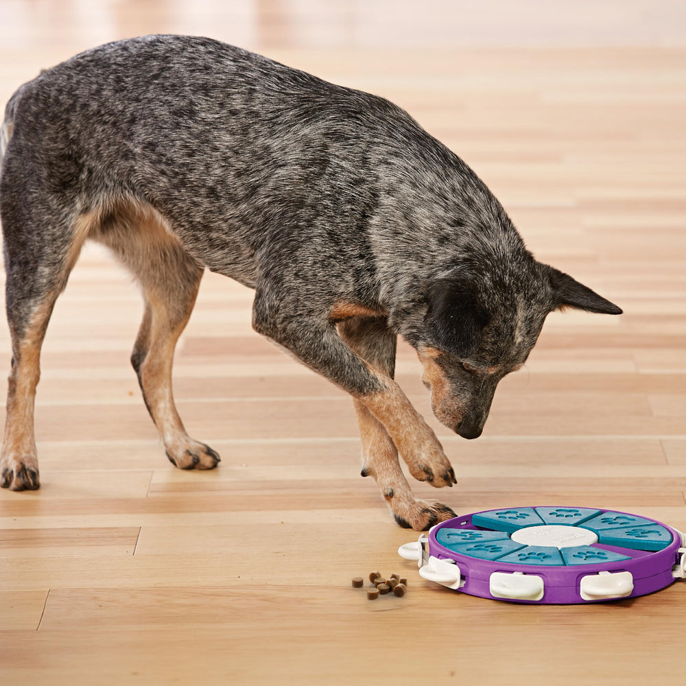 Outward Hound Dog Twister adapté à toutes les tailles de chien