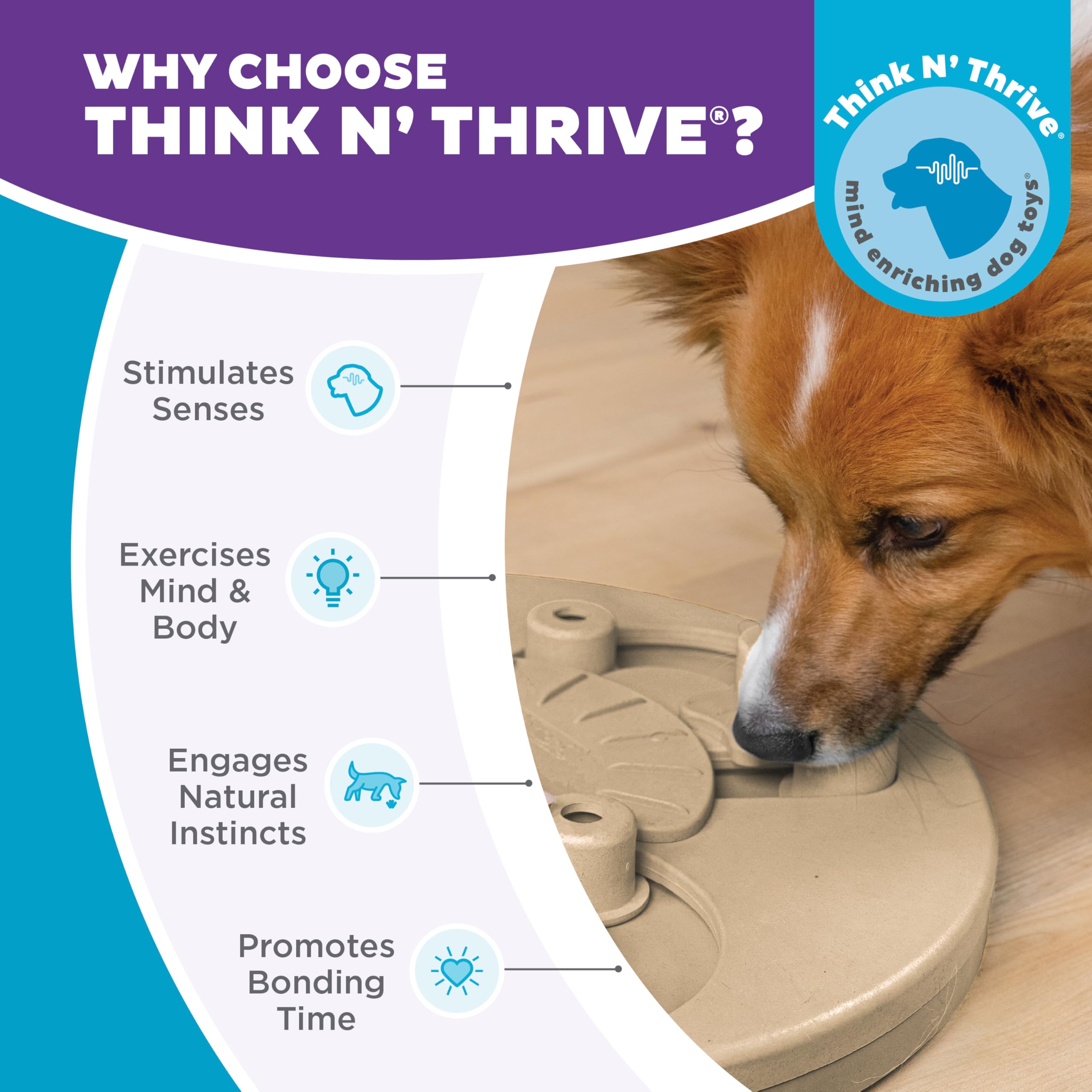 Outward Hound Dog Worker configurations-multiples: ajuste facilement la difficulté.