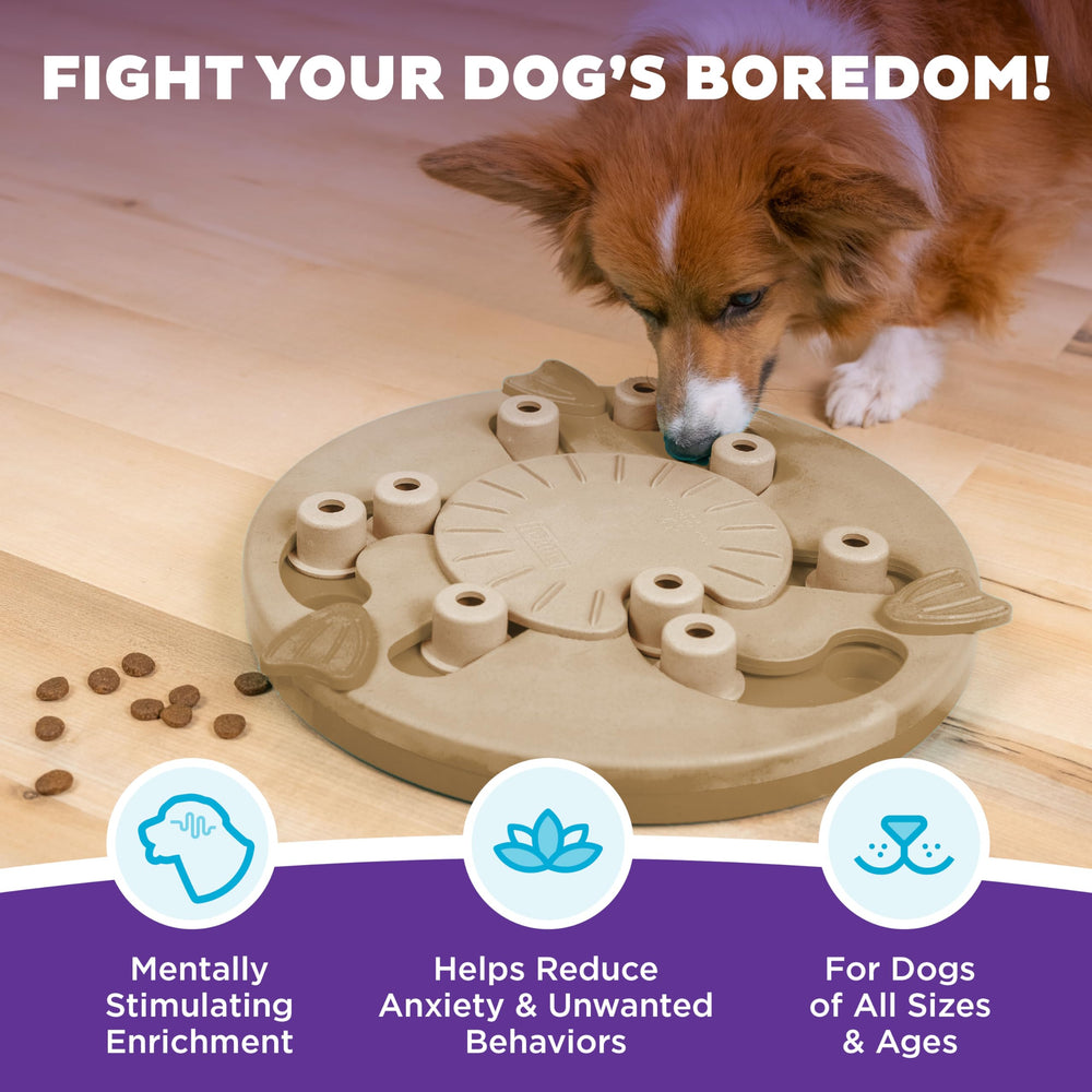 Outward Hound Dog Worker planches-pivoteuses: encouragent la résolution de problèmes.