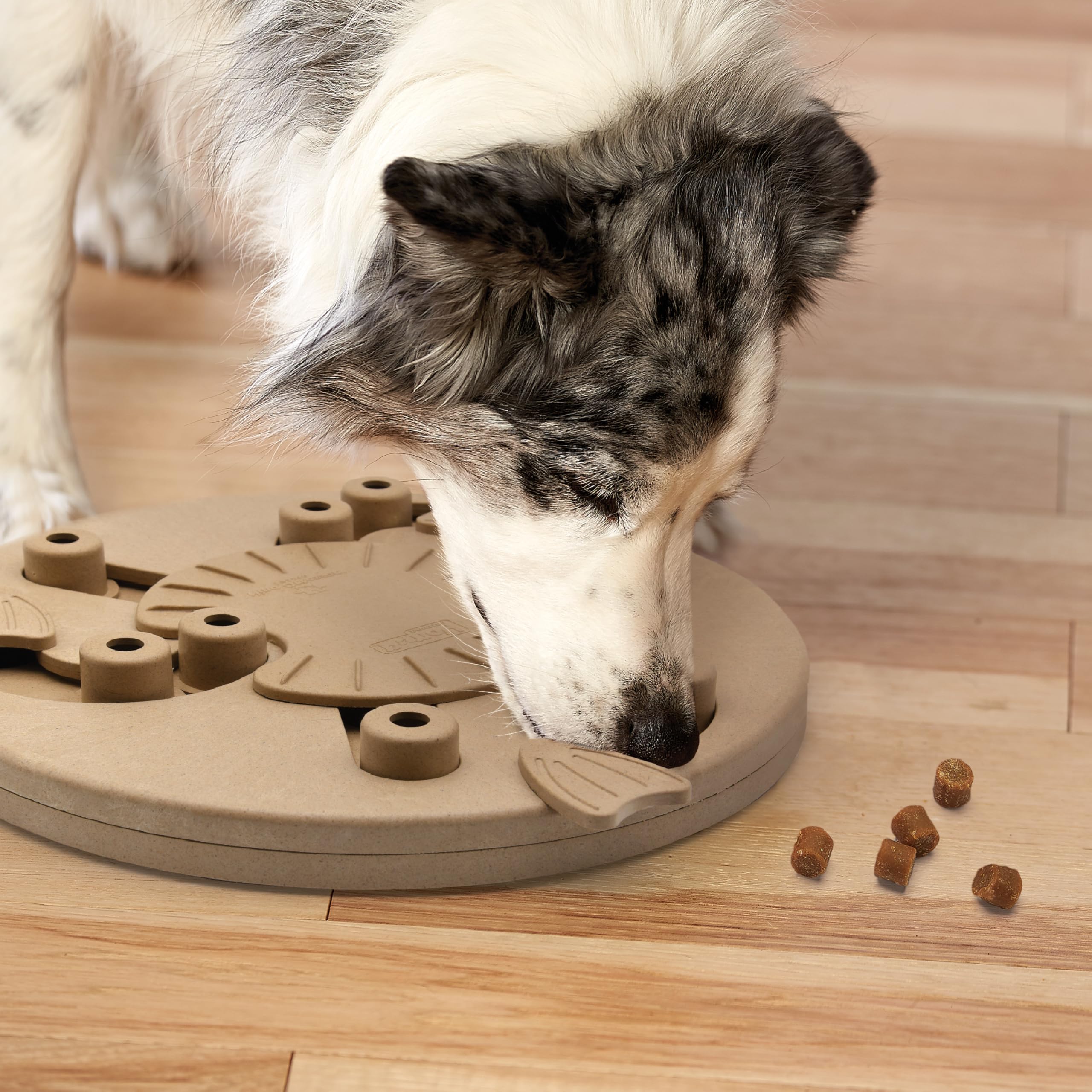 Outward Hound Dog Worker usage-quotidien: jeu interactif pour chiens de toutes tailles.