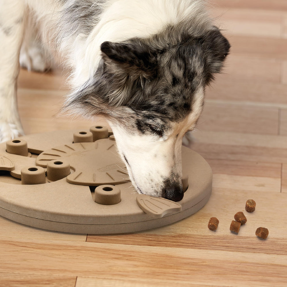 Outward Hound Dog Worker usage-quotidien: jeu interactif pour chiens de toutes tailles.
