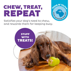 Outward Hound Double-Tuff: distributeur-de-friandises pour chien, distraction et récompense