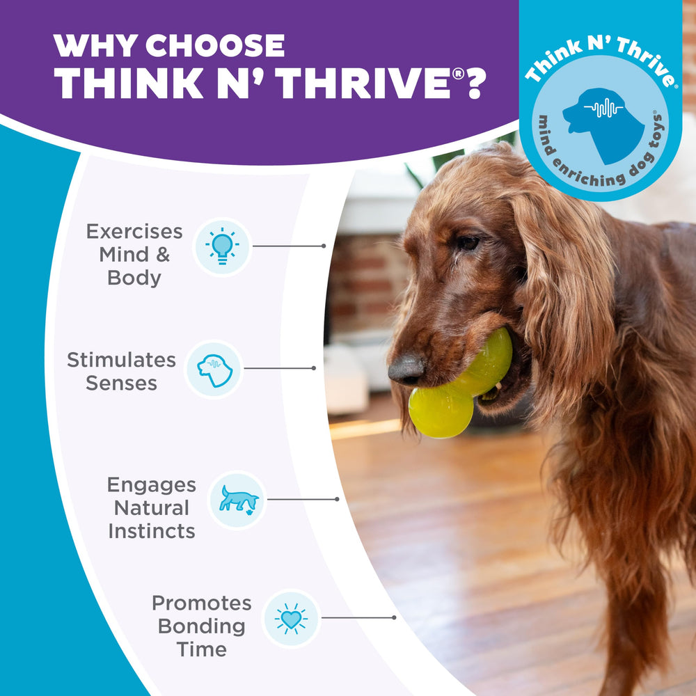 Outward Hound Double-Tuff: matériau Orbee-Tuff durable sans BPA