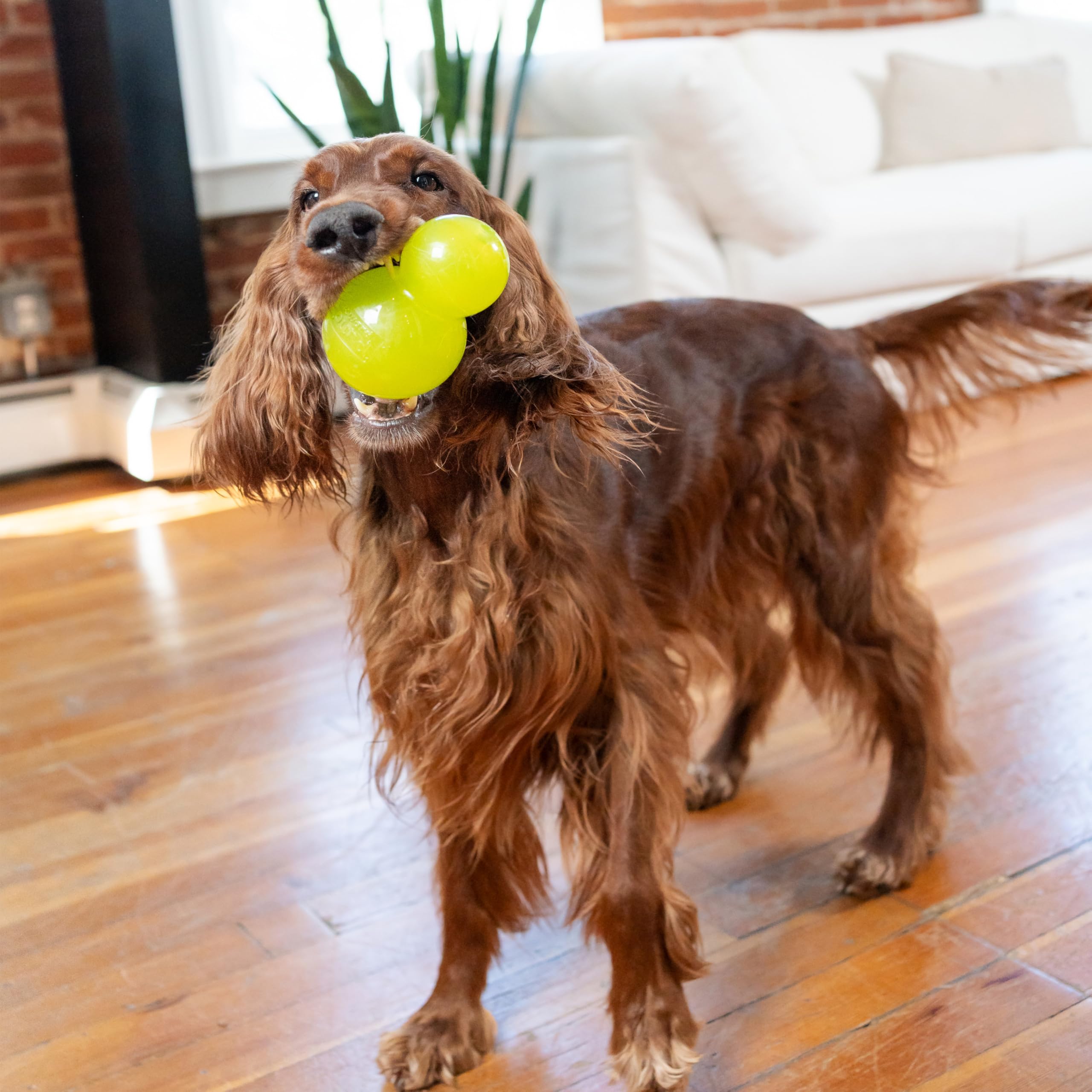Outward Hound Double-Tuff: sécurité et adaptabilité selon la taille et habitudes