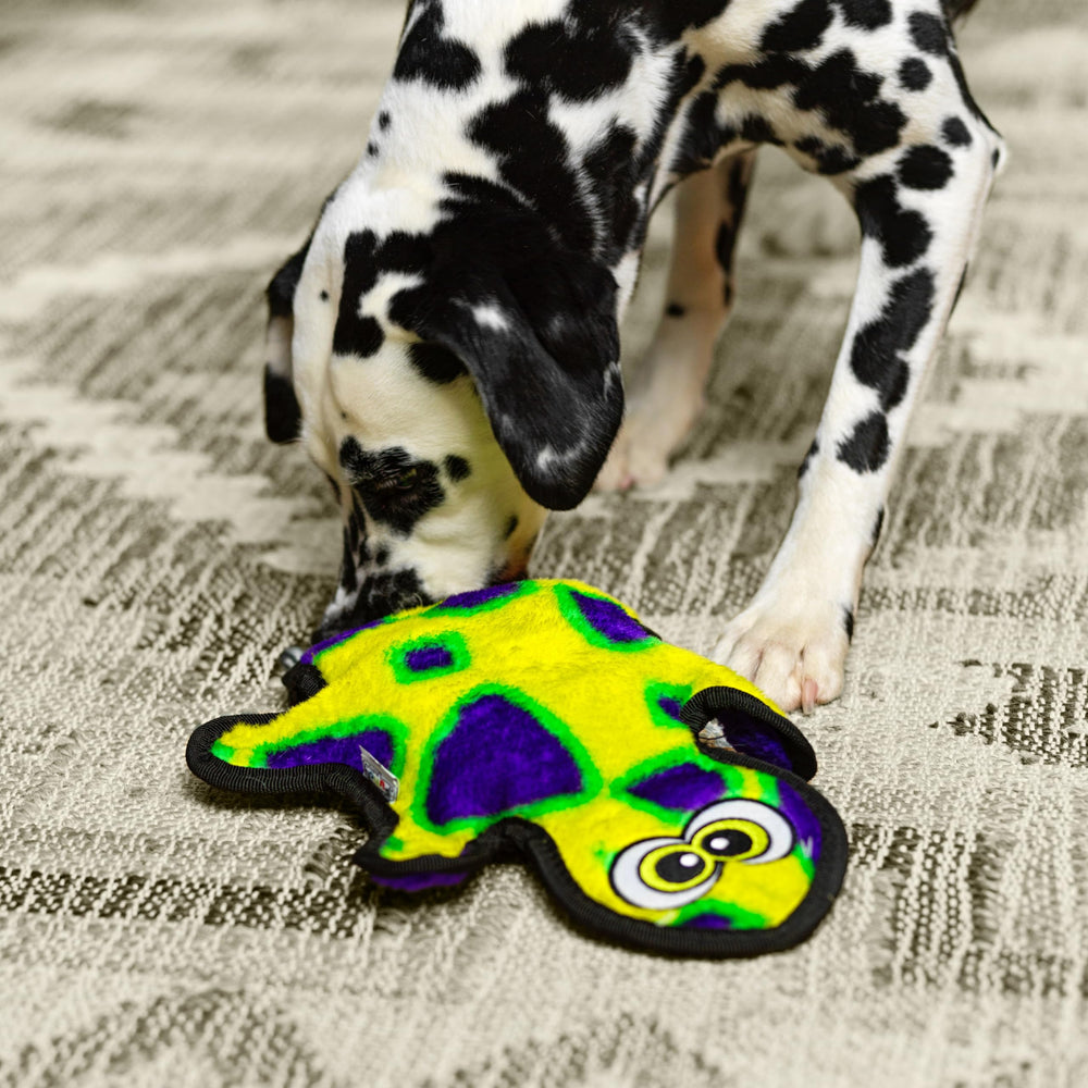 Outward Hound Durablez Gecko, disponible en tailles et formes variées pour tous les chiens