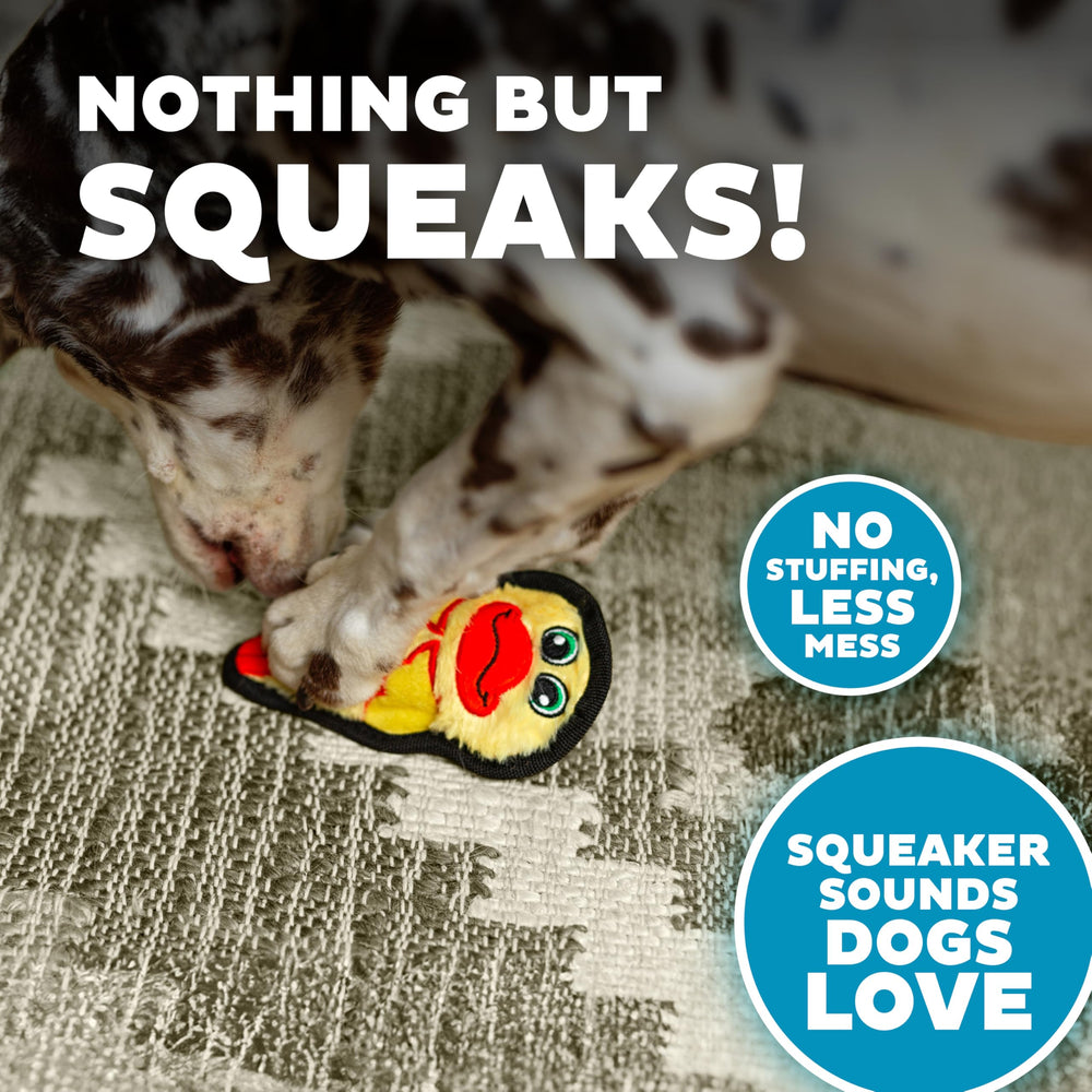 Outward Hound Durablez Mini Grelots Géants: sons excitants qui stimulent l’attention pendant le jeu.
