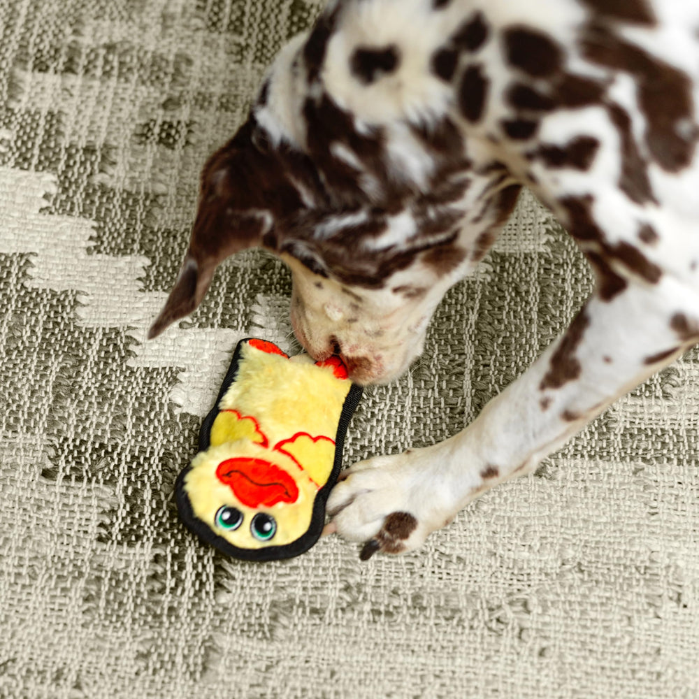 Outward Hound Durablez Mini Jouet Petit Chien Interactif: parfait pour petites races et chiots.