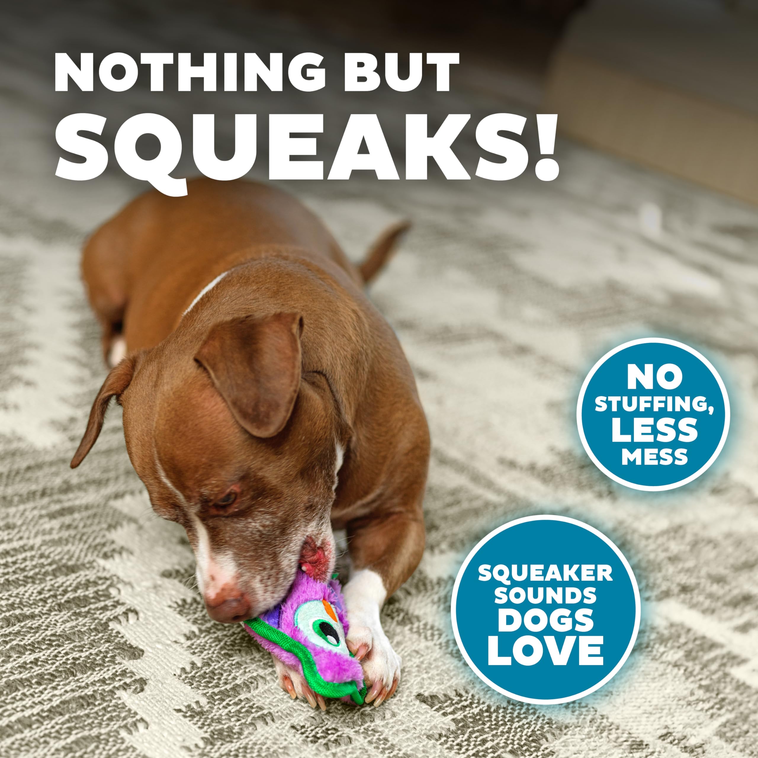 Outward Hound Durablez Minis couineur géant pour stimulation auditive.