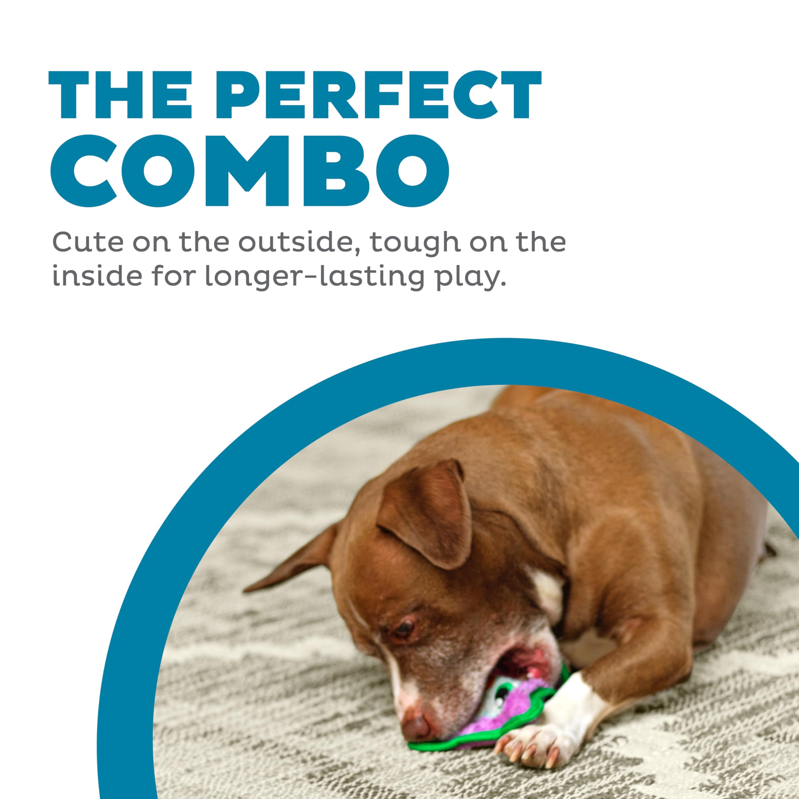 Outward Hound Durablez Minis jouet interactif sans bourrage pour chiens actifs.