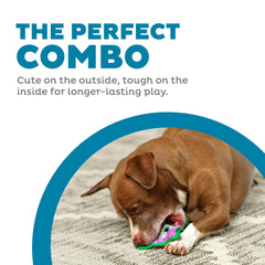 Outward Hound Durablez Minis jouet interactif sans bourrage pour chiens actifs.