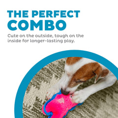 Outward Hound Durablez Minis, jouet chien à gros sifflet pour stimulation.