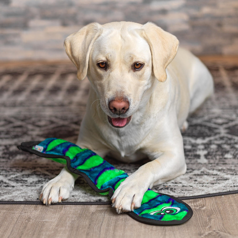 Outward Hound Durablez serpent géant bleu, jouet durable pour le jeu prolongé.