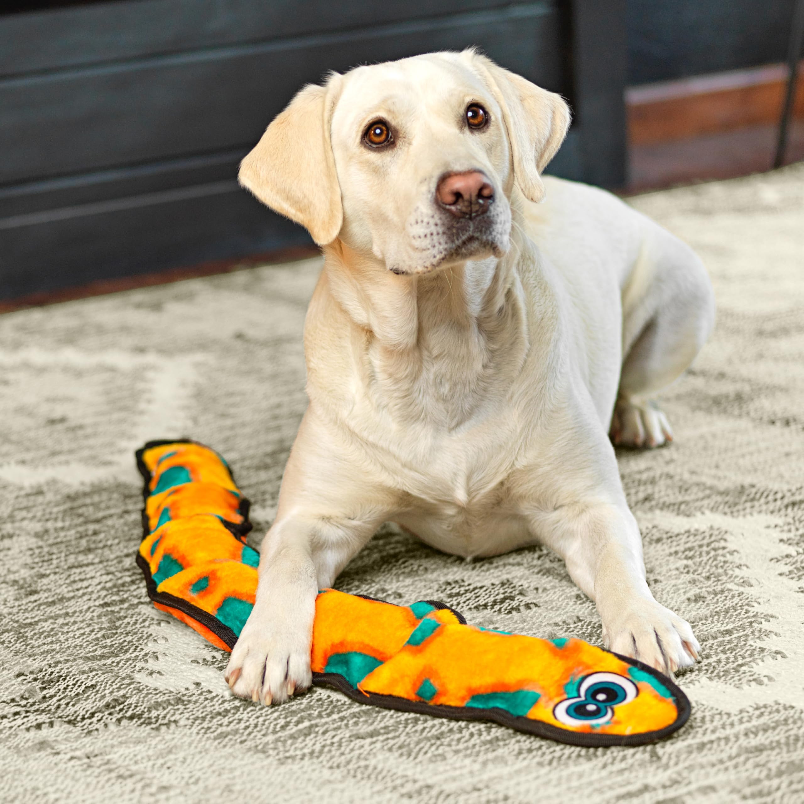 Outward Hound Durablez serpent: gros siffleurs stimulent l’engagement et l’amusement.