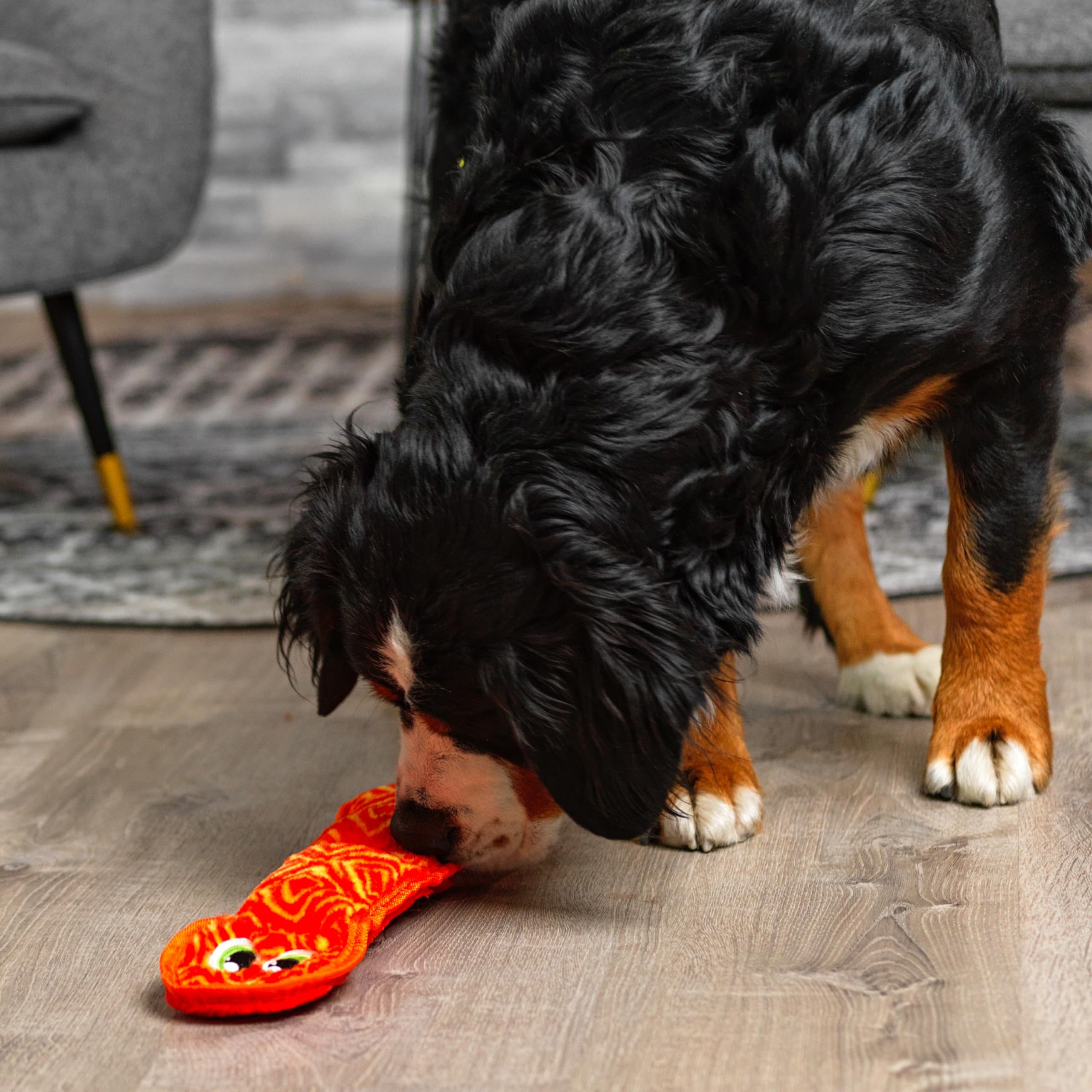 Outward Hound Durablez serpent-jouet-robuste-pour-chiots: durabilité adaptée aux petites dents.