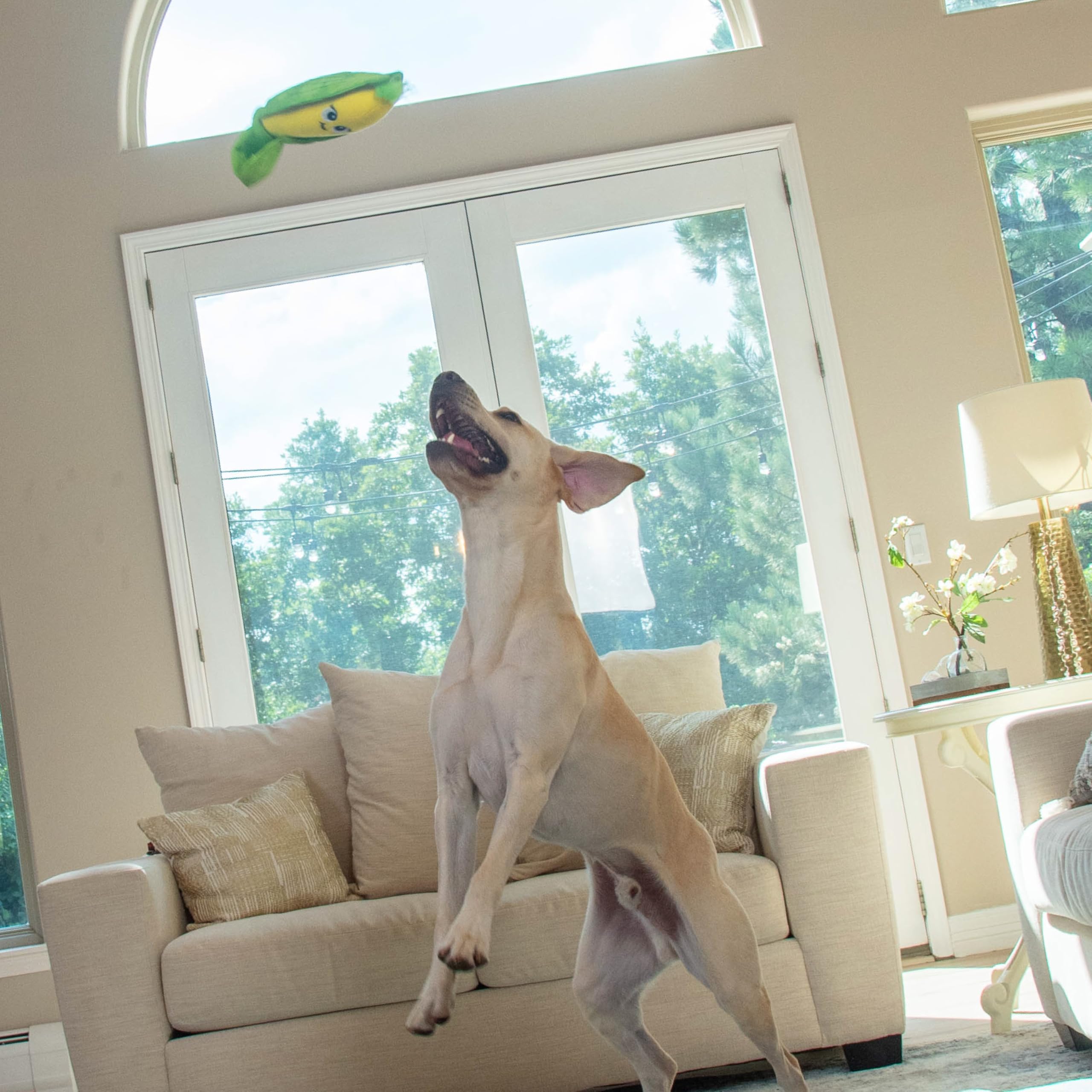Stimulation mentale Think N' Thrive Outward Hound pour enrichissement durable