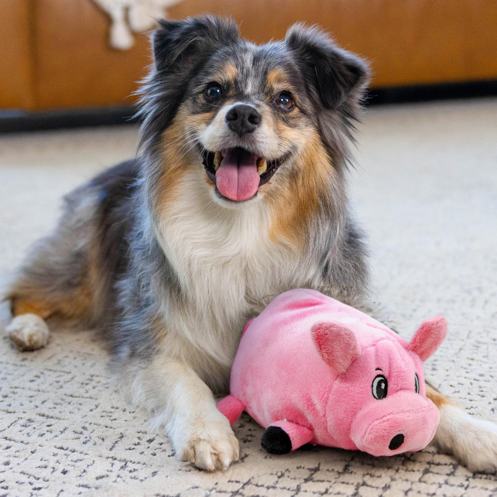 Outward Hound Fattiez Pig coutures minimales, jouet durable et confortable.