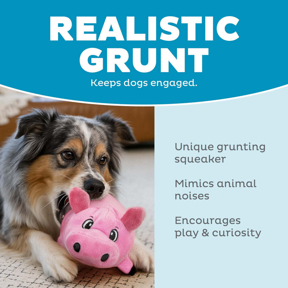 Outward Hound Fattiez Pig taille petite, idéale pour petits chiens et chiots actifs.