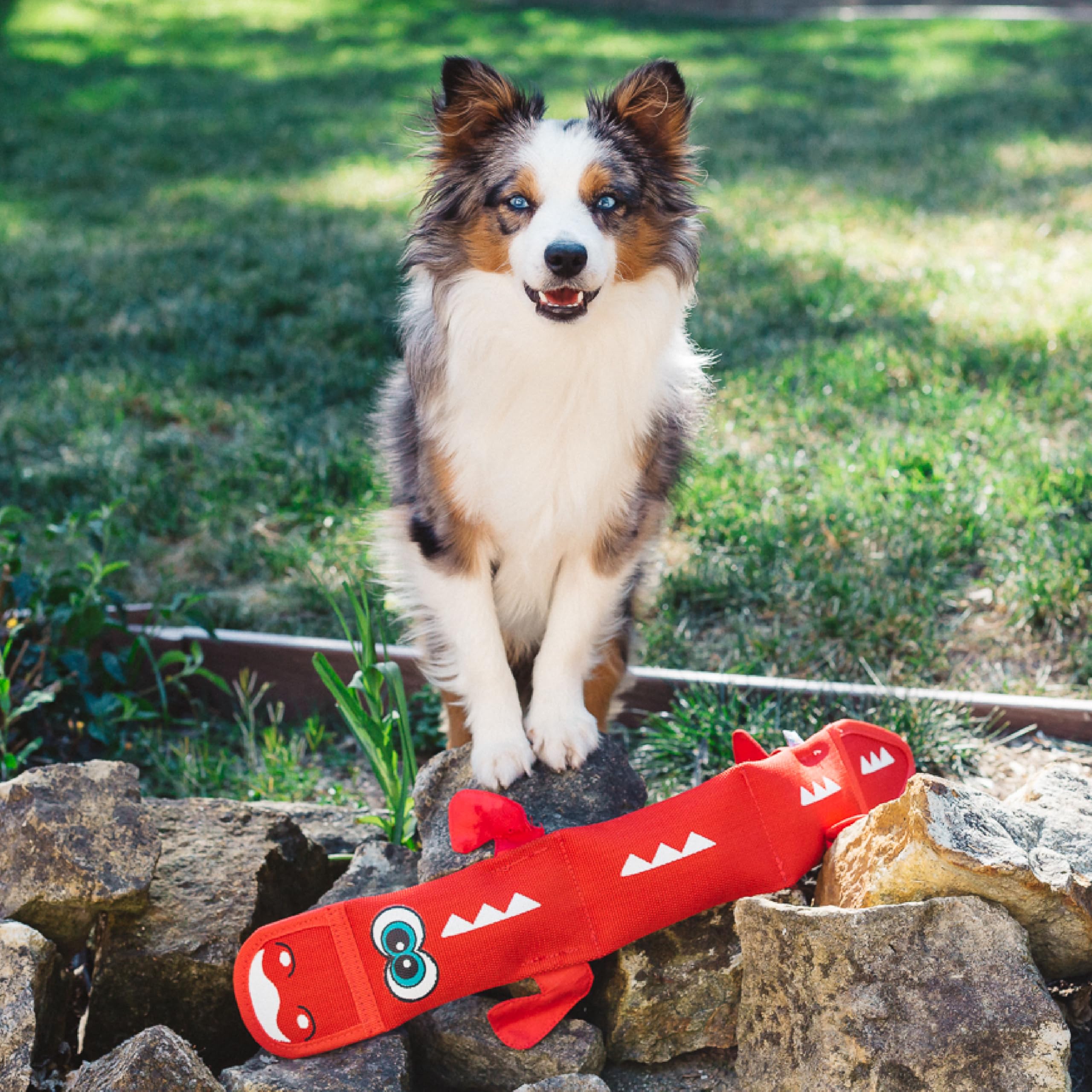 Outward Hound Fire Biterz Dragon protection K9-Tuff et doublure renforcée pour durabilite.