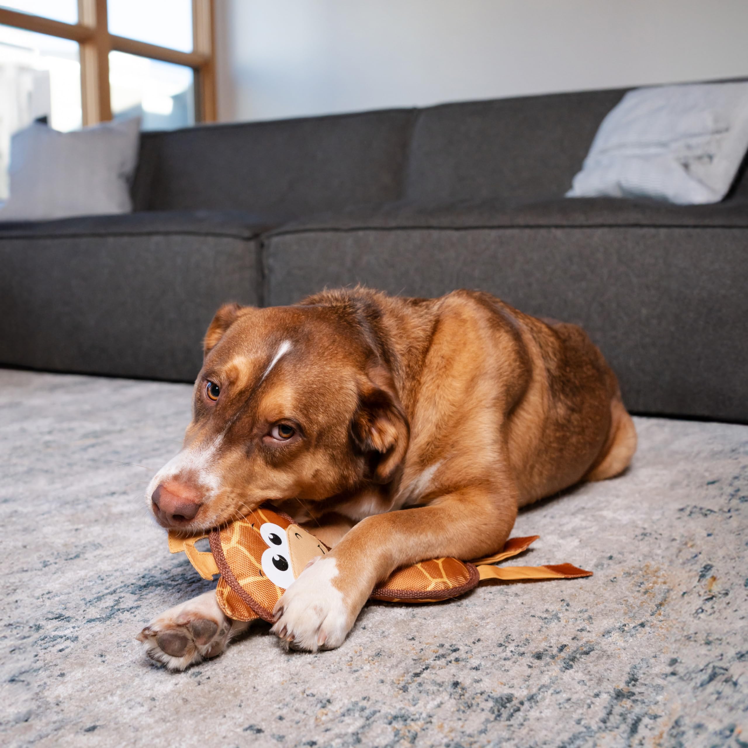 Outward Hound Fire Biterz girafe-durabilite: jouet plus durable que les peluches classiques.