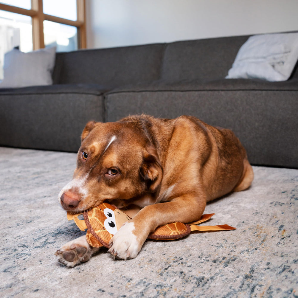 Outward Hound Fire Biterz girafe-durabilite: jouet plus durable que les peluches classiques.