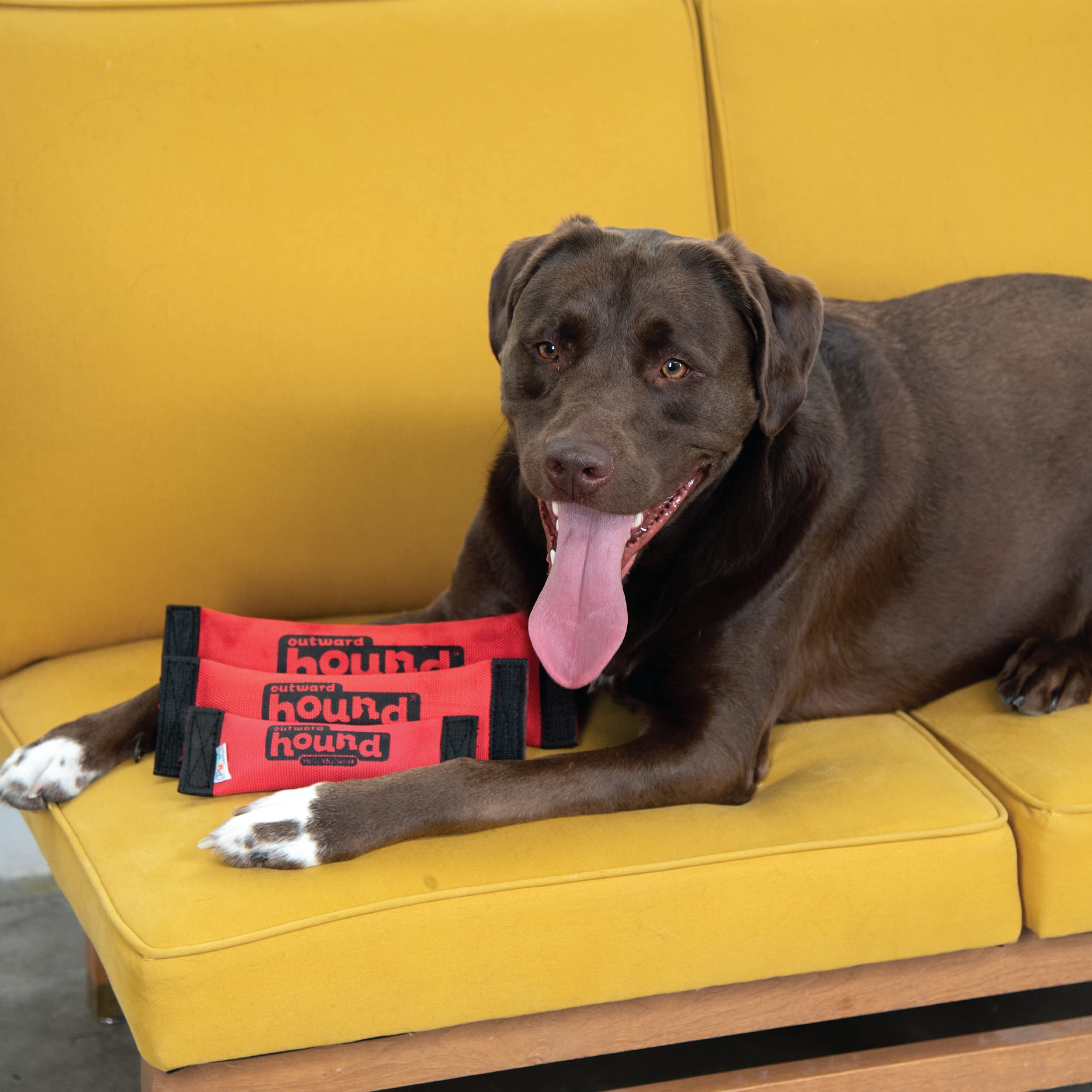 Outward Hound Firehose Fetch idéal pour lancer et tirer lors des jeux actifs.