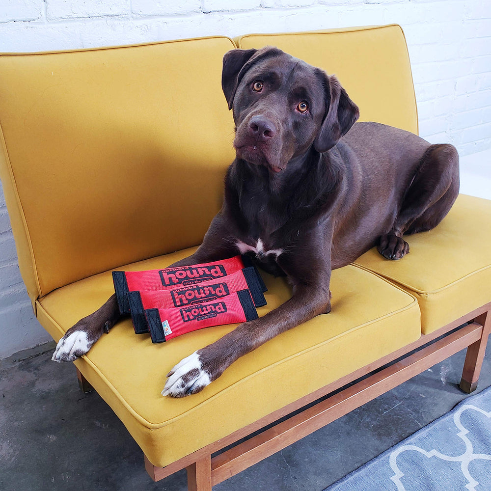 Outward Hound Firehose Fetch jouet peluche durable pour jeux énergiques.