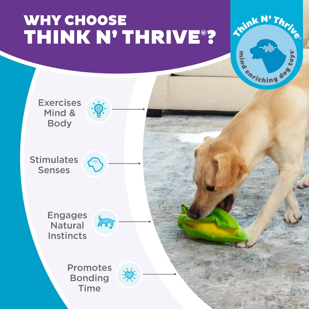Forage et chasse des friandises avec Outward Hound, jeu actif et stimulant