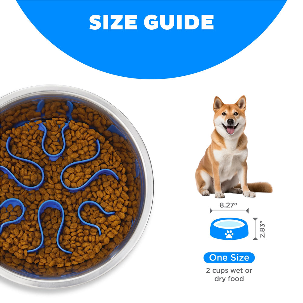 Outward Hound Fun Feeder capacité 2 tasses, idéal pour repas complets.
