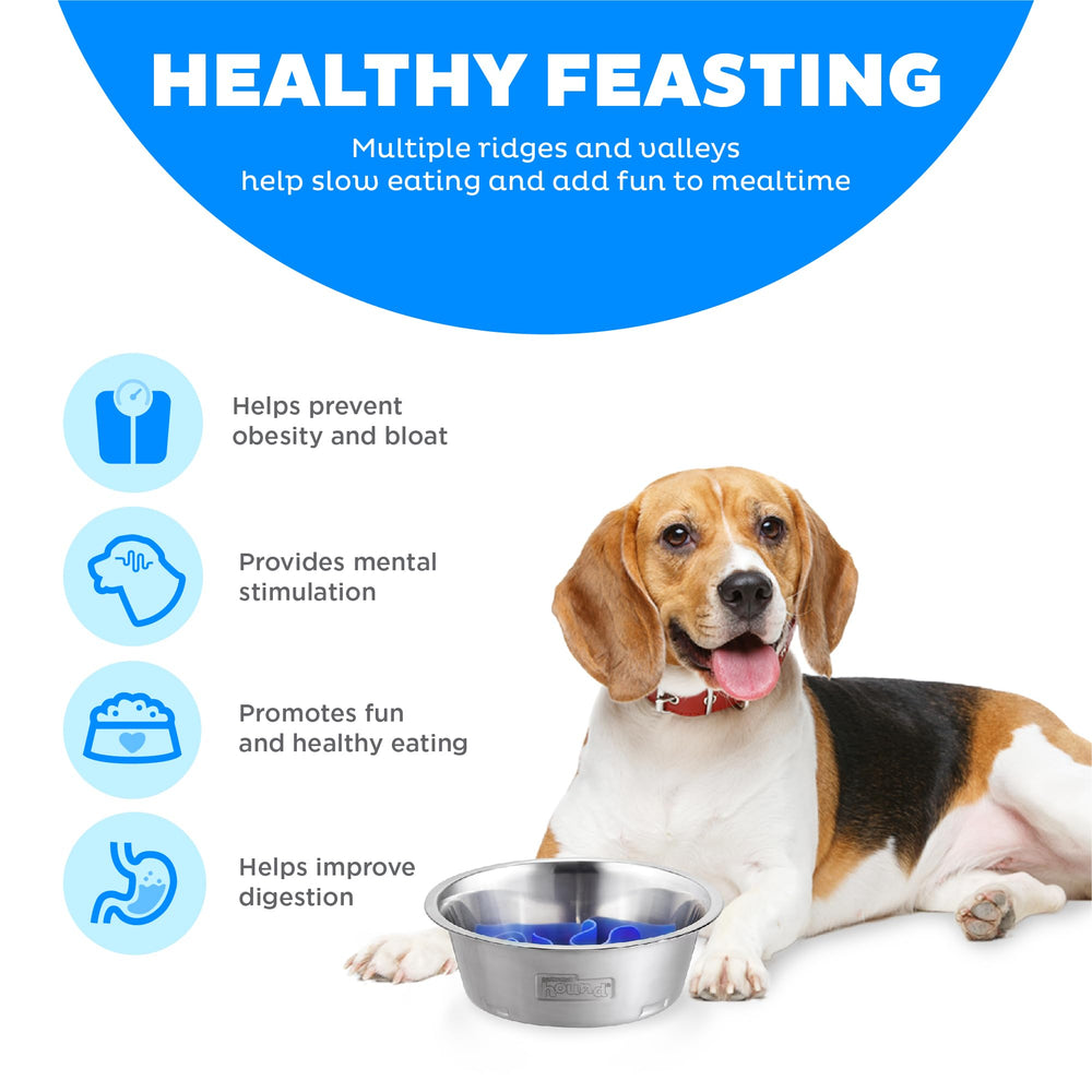 Outward Hound Fun Feeder compatible lave-vaisselle plateau supérieur pour un nettoyage facile.