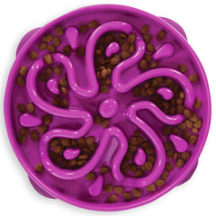 Bol Outward Hound Fun Feeder Slo grand 4 tasses violet fleurs, ralenti l'alimentation pour chiens