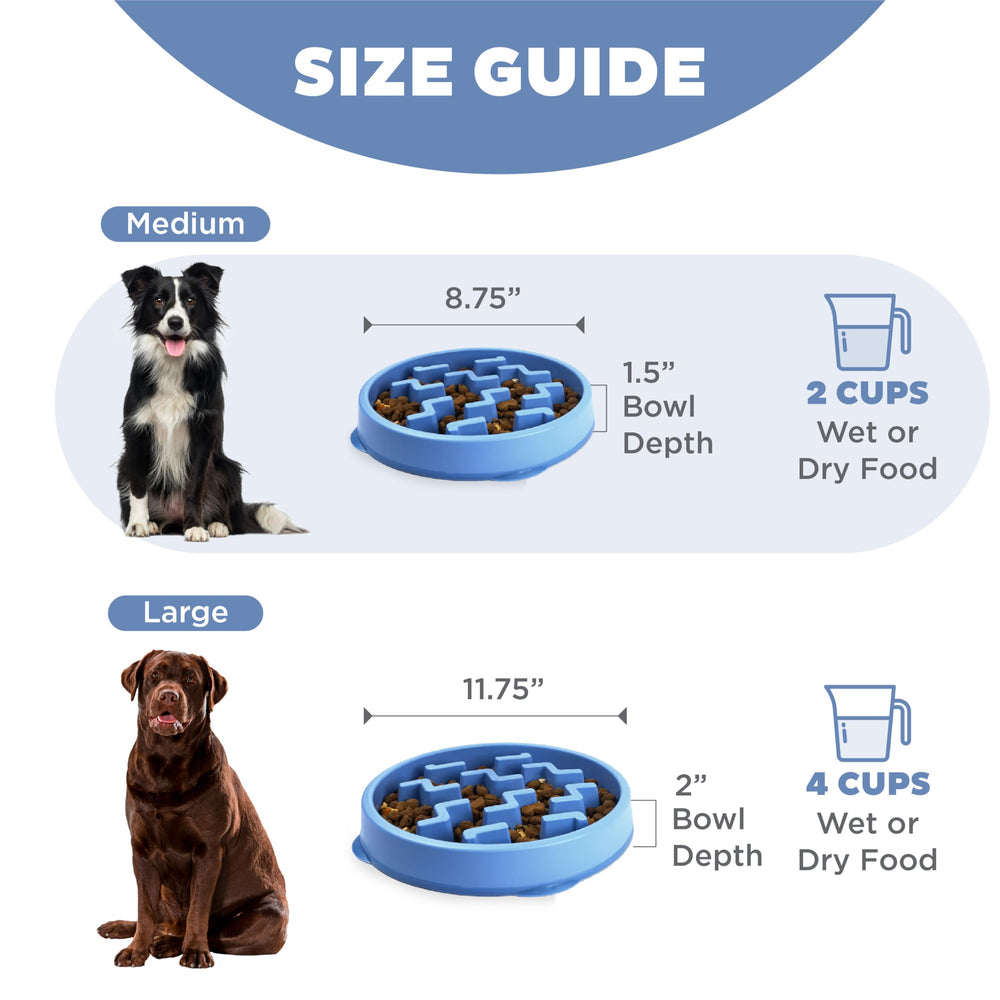 Bol compatible lave-vaisselle sur le plateau supérieur Outward Hound bleu, nettoyage pratique.
