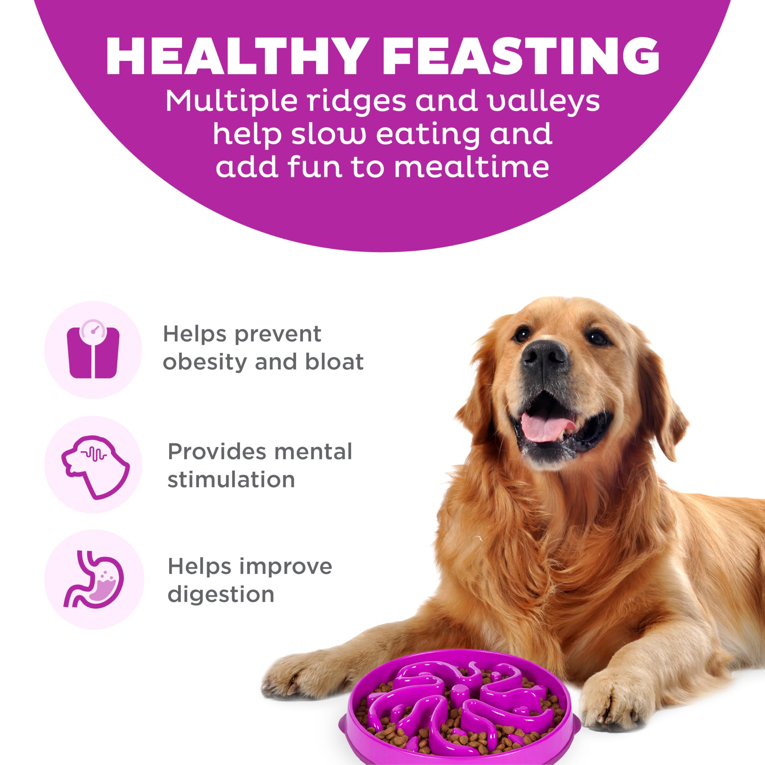 Bol puzzle profond Outward Hound pour repas plus long et engageant