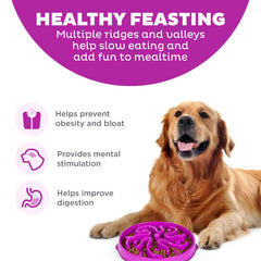 Bol puzzle profond Outward Hound pour repas plus long et engageant
