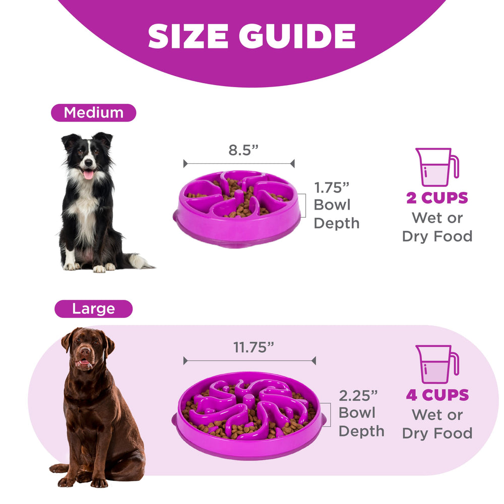 Bol sans BPA PVC Outward Hound, sûr et lavable au lave-vaisselle