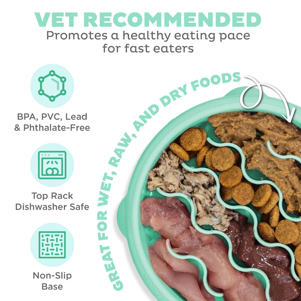 Bol anti-derapant Outward Hound Slo Bowl pour repas sans dérapage.