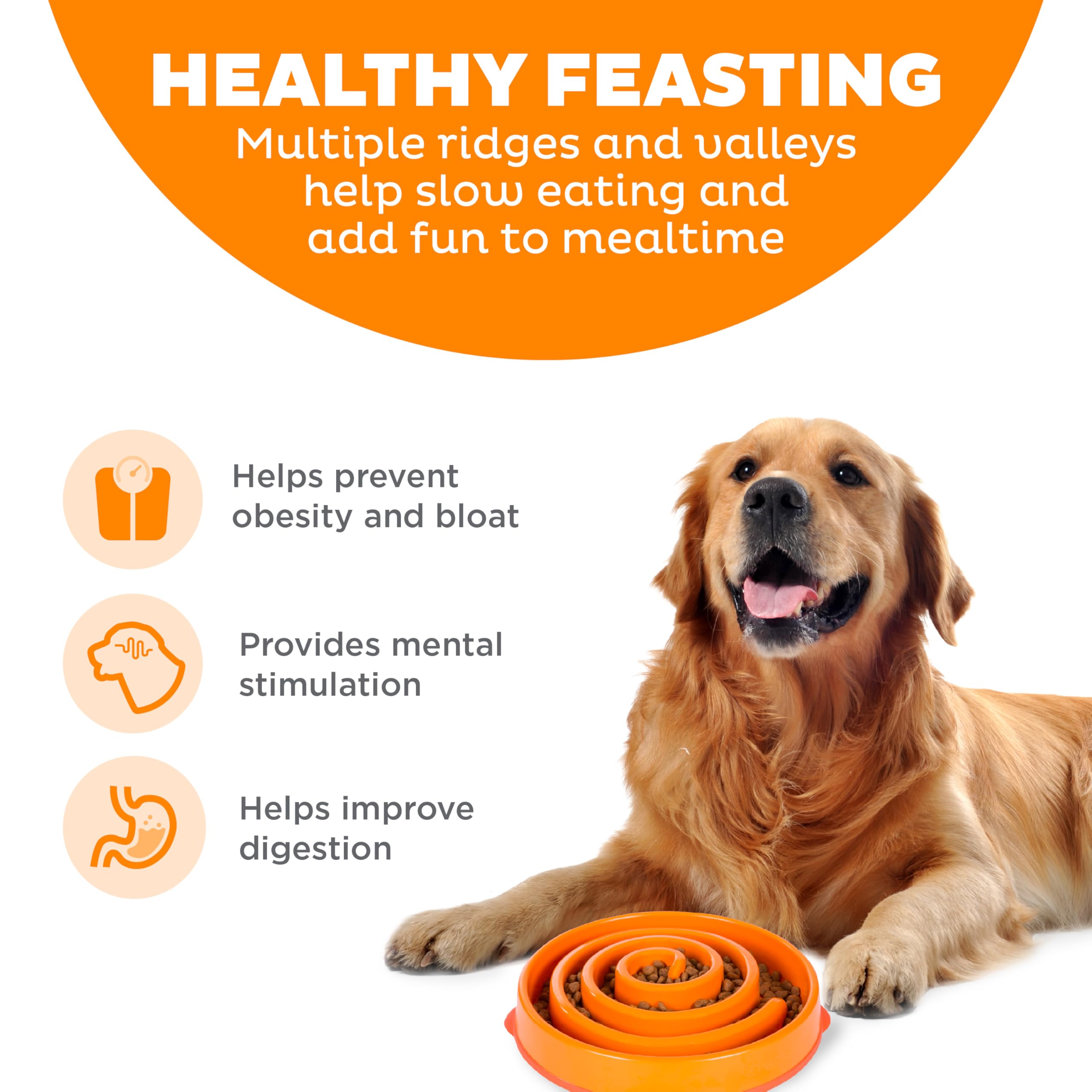 Base antiderapante du bol Outward Hound pour repas stable