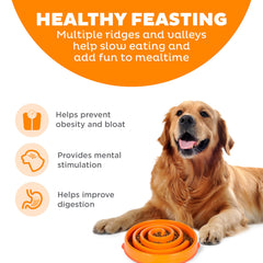 Base antiderapante du bol Outward Hound pour repas stable
