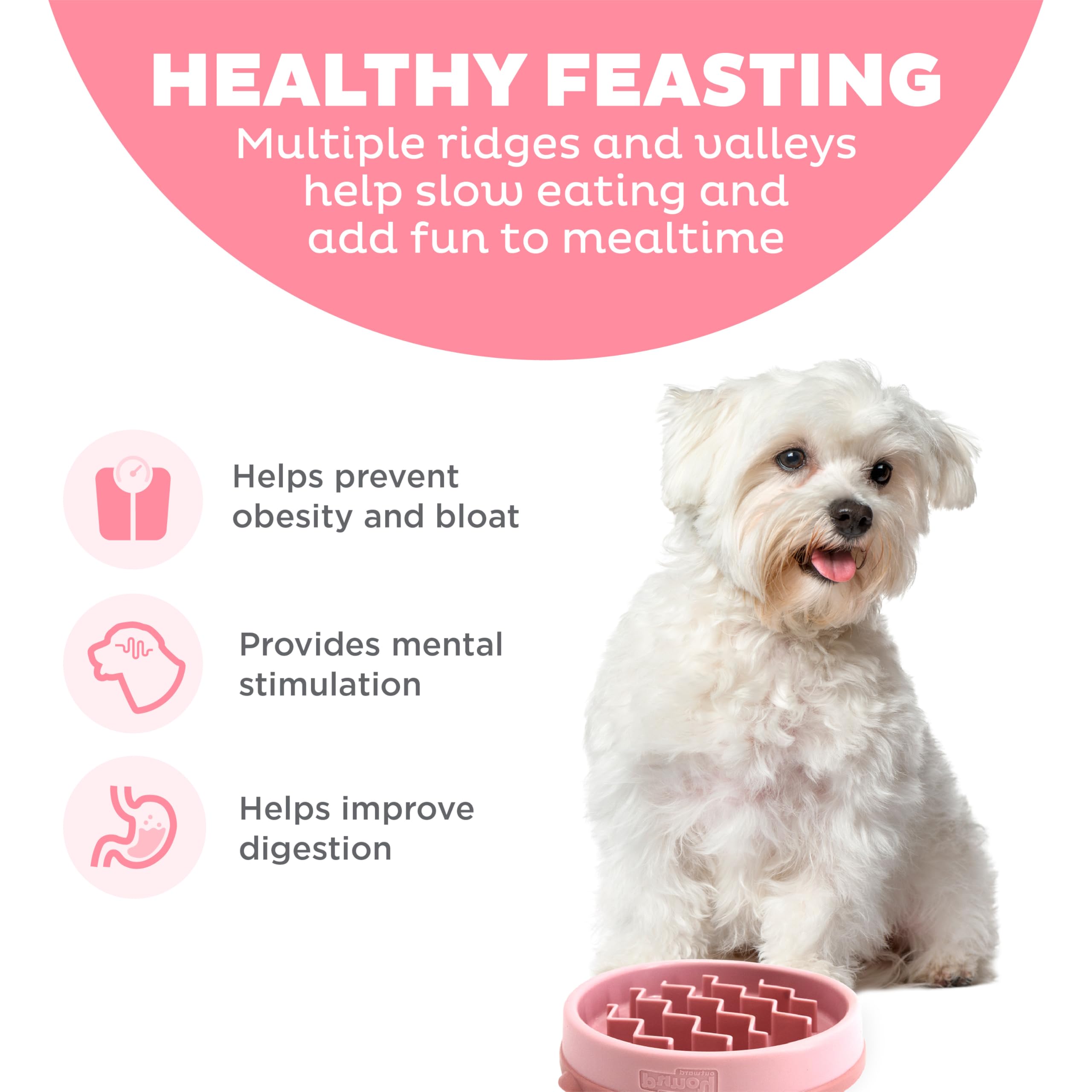Outward Hound Fun Feeder Slo Bowl 3/4 tasse, capacité idéale pour petits chiens et chats.