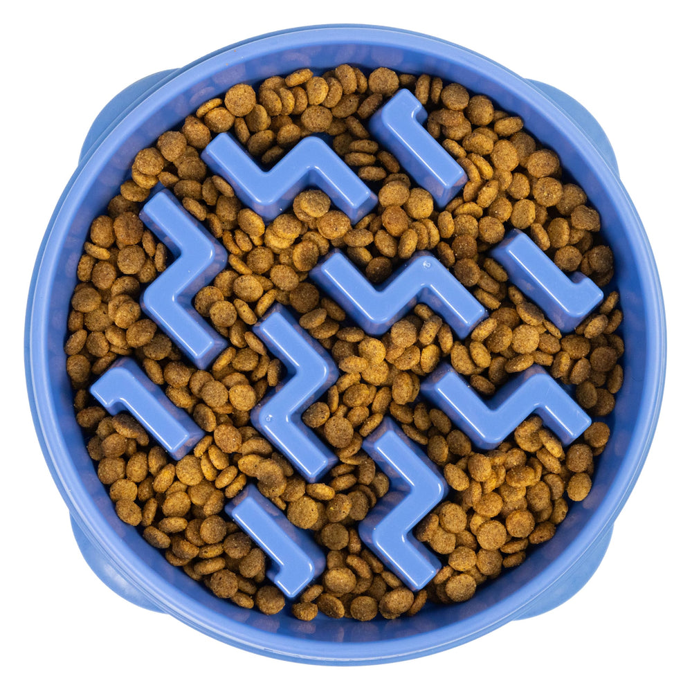 Bol lent Outward Hound Fun Feeder Slo Bowl bleu, capacité 4 tasses pour grands chiens